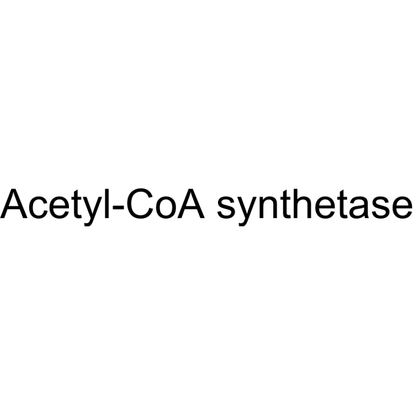 Acetyl-CoA synthetase (ACS) 9012-31-1
